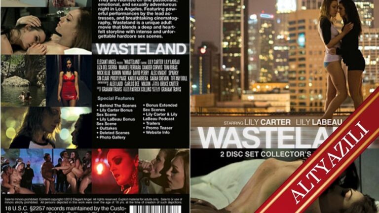 wasteland 2012.jpg