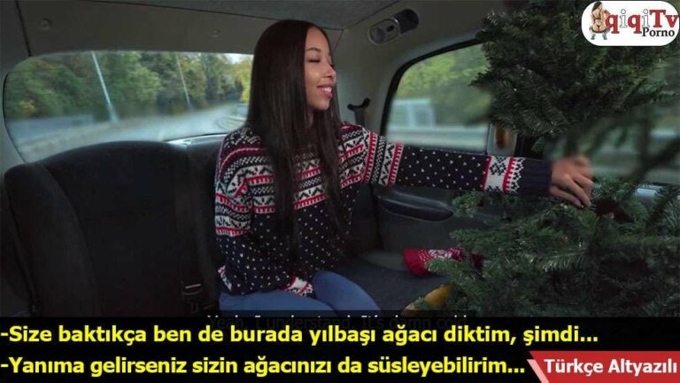 yilbasi agaci gibi kalkan yaragimi musteriye soktum.jpg